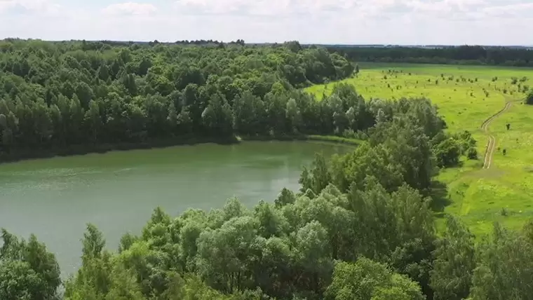Президент Татарстана поделился видеороликом с летними пейзажами республики