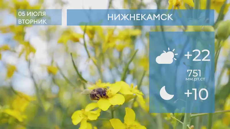 Прогноз погоды в Нижнекамске на 5-е июля 2022 года