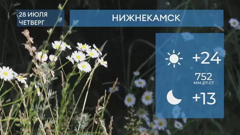 Прогноз погоды в Нижнекамске на 28-е июля 2022 года