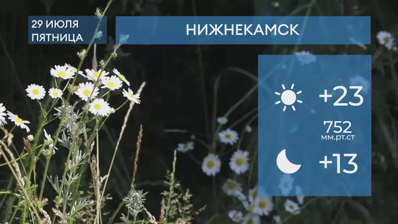 Прогноз погоды в Нижнекамске на 29-е июля 2022 года