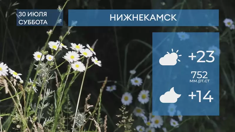 10 е июля. Погода в Нижнекамске на 10 дней. Погода в Нижнекамске на 3. Погода в Нижнекамске на 14. Погода на 20 дней Нижнекамске.