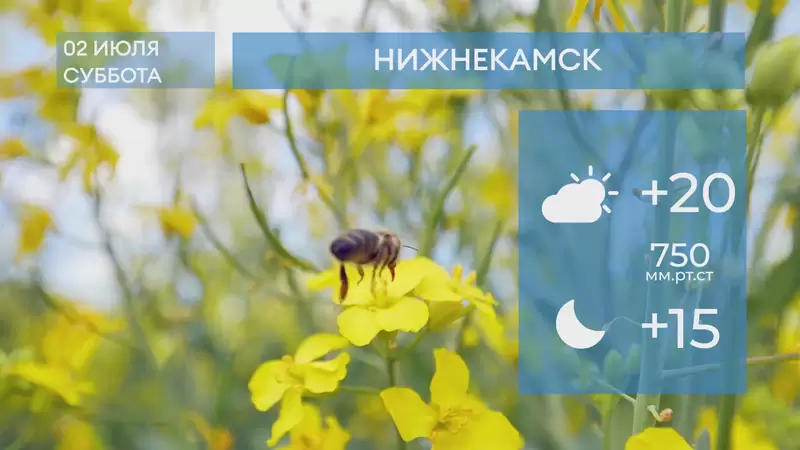 Прогноз погоды в Нижнекамске на 2-е июля 2022 года
