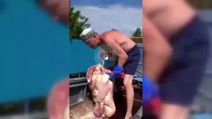 Житель Татарстана показал 87-килограммового сома, пойманного на Каме - НТР 24