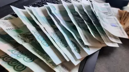 Супруги из Нижнекамска потеряли приличную сумму, желая сэкономить - НТР 24