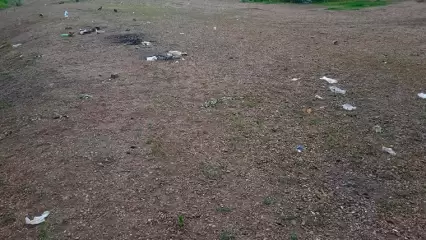 В сети появилось фото состояния берега Камы после отдыха нижнекамцев - НТР 24