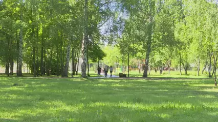 Последние дни июля в Татарстане будут жаркими, но дождливыми - НТР 24