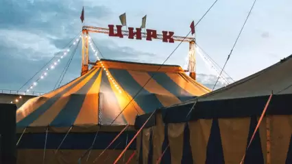 «Это было мерзко»: жительница Нижнекамска сходила в цирк и пришла в ужас от поведения зрителей - НТР 24