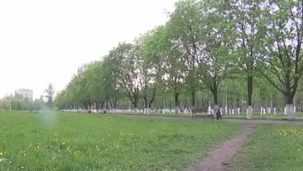 В Нижнекамском районе пропал 18-летний парень - НТР 24