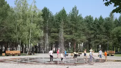 Жителей Татарстана ожидает жара до +32 градусов