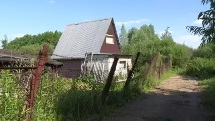 От металла до урожая: в СНТ «Нефтехимик» неизвестные несколько лет обворовывают дачные участки - НТР 24