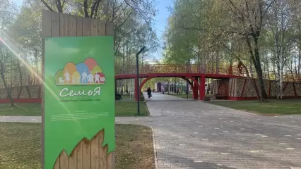 Жители Нижнекамска смогут поучаствовать в создании картины художника Кристиана Апостола - НТР 24