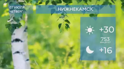 Прогноз погоды в Нижнекамске на 7-е июля 2022 года