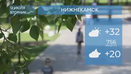 Прогноз погоды в Нижнекамске на 12-е июля 2022 года