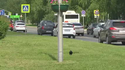 Пожилая нижнекамка может оказаться на скамье подсудимых за езду «по встречке» - НТР 24