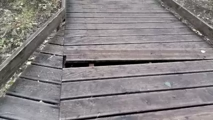 «Хозяина у парка нет!»: нижнекамцы показали состояние экотропы в городском парке - НТР 24