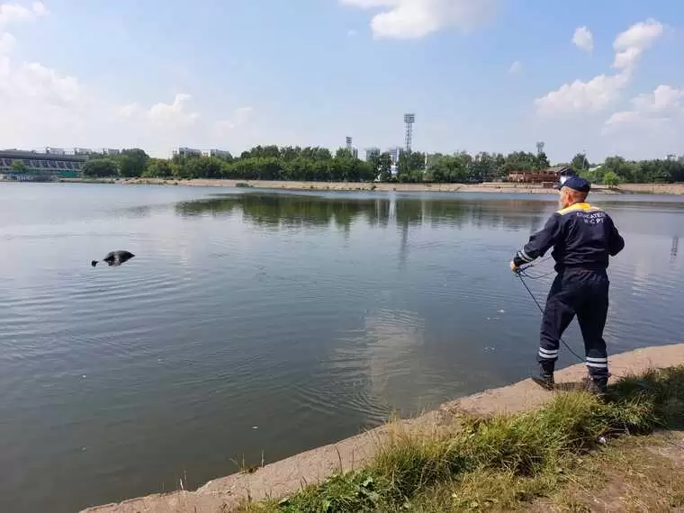 На реке в Татарстане всплыло тело мужчины в одежде и обуви