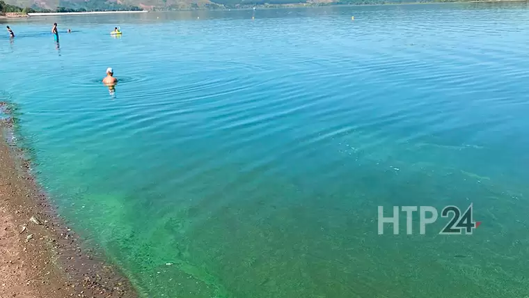 Рекомендуют не купаться: на нижнекамском пляже позеленела вода в Каме