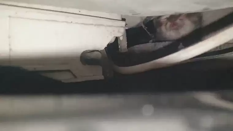 В Нижнекамске котёнок застрял под капотом припаркованного автомобиля, его не могут достать