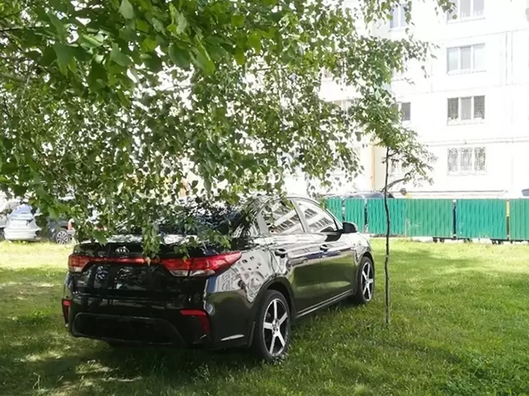Любителей парковаться на газонах Нижнекамска оштрафовали на 61 тыс. рублей