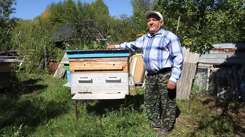 Нижнекамский пчеловод поделился тонкостями разведения пчёл на приусадебном участке