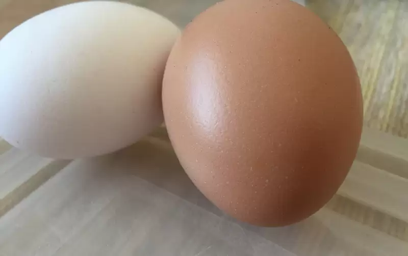 Снесла курочка яичко… Как можно использовать куриные яйца в быту