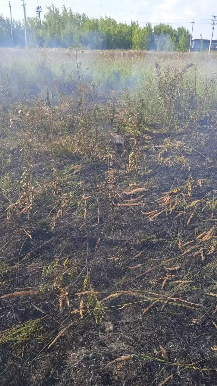 Из-за неосторожного обращения с огнём в Нижнекамске загорелась трава