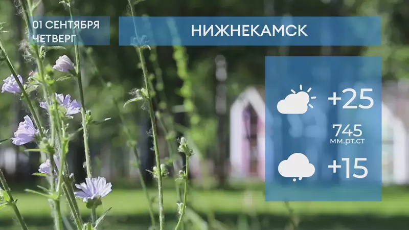 Прогноз погоды в Нижнекамске на 1 сентября 2022 года
