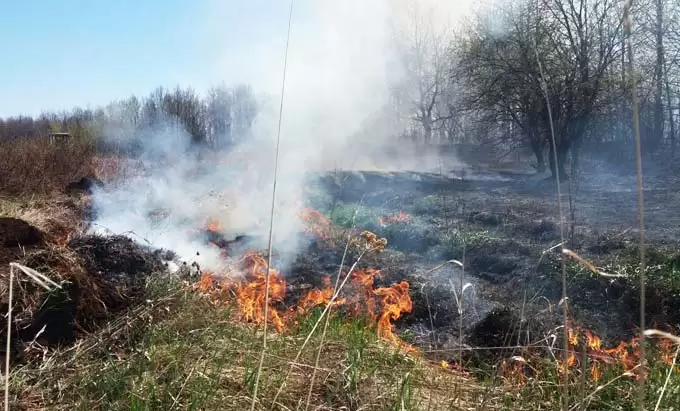 До Татарстана дошёл дым от лесных пожаров в Нижегородской области и Республике Марий Эл