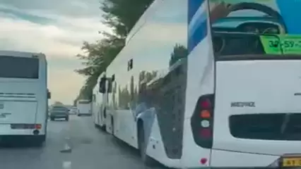 Нижнекамец просит установить знак «Остановка запрещена» во избежание аварийных ситуаций - НТР 24