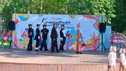 В Нижнекамск состоялся благотворительный концерт в поддержку бездомных животных