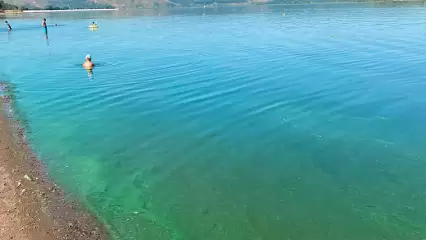 Рекомендуют не купаться: на нижнекамском пляже позеленела вода в Каме - НТР 24