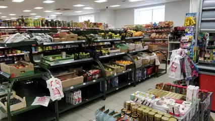 От искусственных суставов до дрожжей: в Татарстане утверждён список продукции для импортозамещения - НТР 24