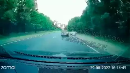 Под Нижнекамском заметили «обочечника» - НТР 24