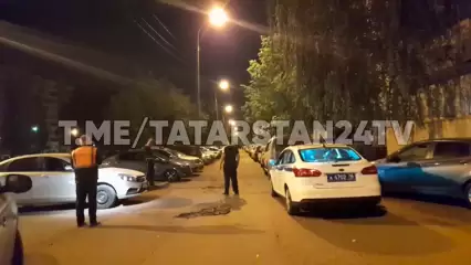 В Татарстане на автомобилиста напали из кустов двое пьяниц