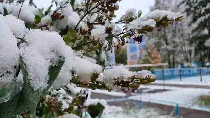 Жители России могут пойти на линейки первого сентября под снегом