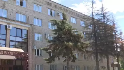 В Нижнекамске срубят ели у бывшего здания администрации — они высохли после обрезки веток - НТР 24