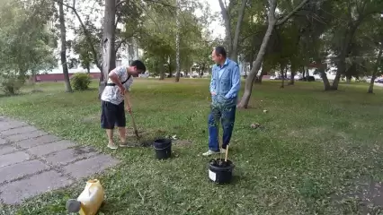 В Нижнекамске в память о погибших в СВО на Украине высадили яблони и ели - НТР 24