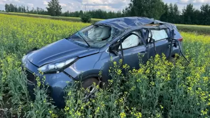 В Татарстане водитель погиб в ДТП из-за непристегнутого ремня