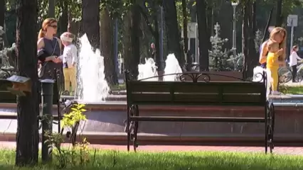 С 10 августа в Нижнекамске запускается новый проект на свежем воздухе для взрослых и детей - НТР 24