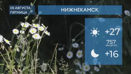 Прогноз погоды в Нижнекамске на 5-е августа 2022 года