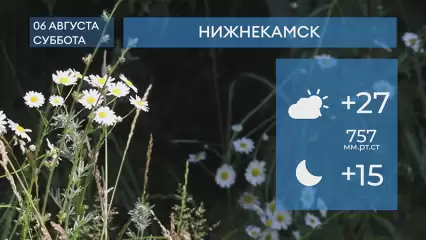 Прогноз погоды в Нижнекамске на 6-е августа 2022 года