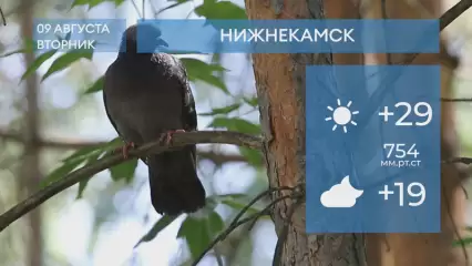 Прогноз погоды в Нижнекамске на 9-е августа 2022 года