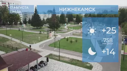 Прогноз погоды в Нижнекамске на 17-е августа 2022 года