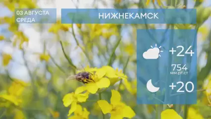 Прогноз погоды в Нижнекамске на 3-е августа 2022 года
