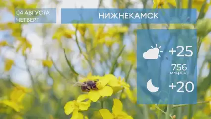 Прогноз погоды в Нижнекамске на 4-е августа 2022 года