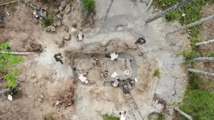 На Суоярвском плацдарме нижнекамские поисковики подняли останки семи бойцов - НТР 24