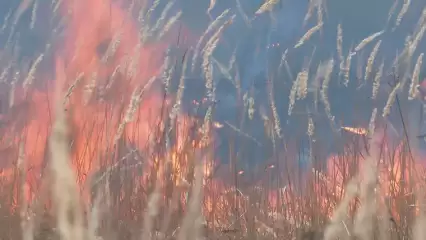 Высокая пожароопасность лесов в Татарстане сохраняется, объявлено штормовое предупреждение