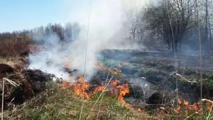 До Татарстана дошёл дым от лесных пожаров в Нижегородской области и Республике Марий Эл