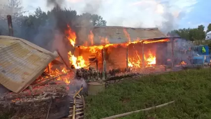 В Нижнекамске огонь полностью уничтожил баню в садовом товариществе