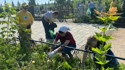 Студенты колледжа навели порядок на Аллее ветеранов в Нижнекамске - НТР 24